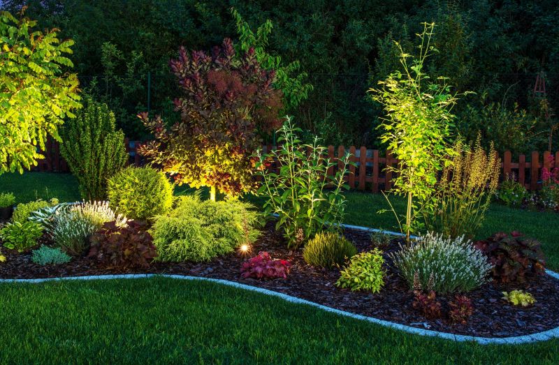 Landscape Lighting Installation